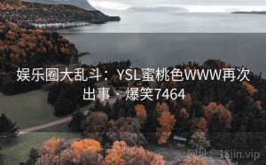 娱乐圈大乱斗：YSL蜜桃色WWW再次出事 · 爆笑7464